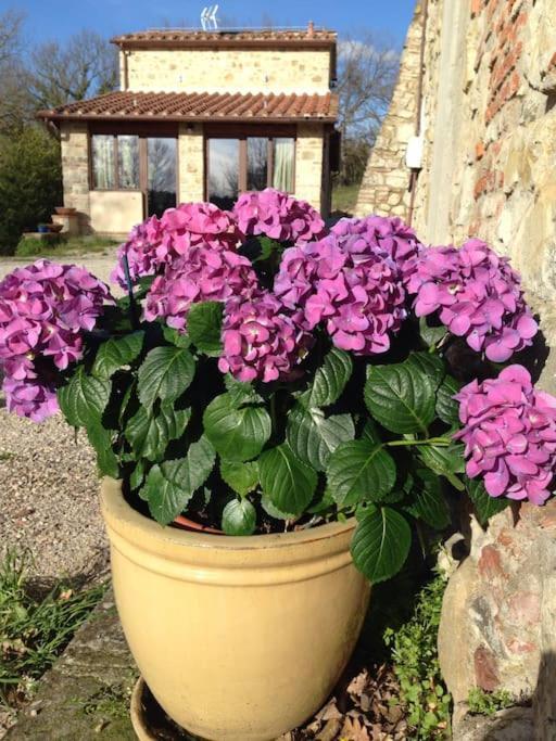 Faetole Typical Tuscan Country House Near Florence Capannuccia ภายนอก รูปภาพ